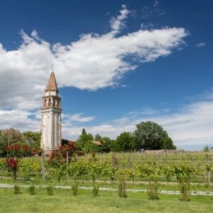 degustazione privata vini isola Mazzorbo