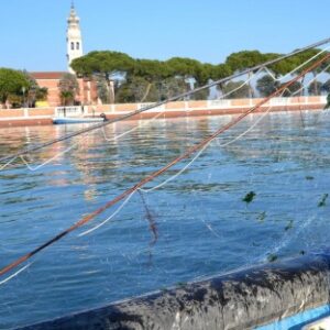 pescatore per un giorno venezia